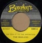 WAILERS (REGGAE) / ウェイラーズ (REGGAE) / GO TELL IT TO THE MOUNTAIN