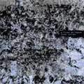A FLOWER KOLLAPSED / フラワー・コラプスト / BROWN RECLUSE