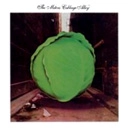 METERS / ミーターズ / CABBAGE ALLEY(COLOR VINYL)