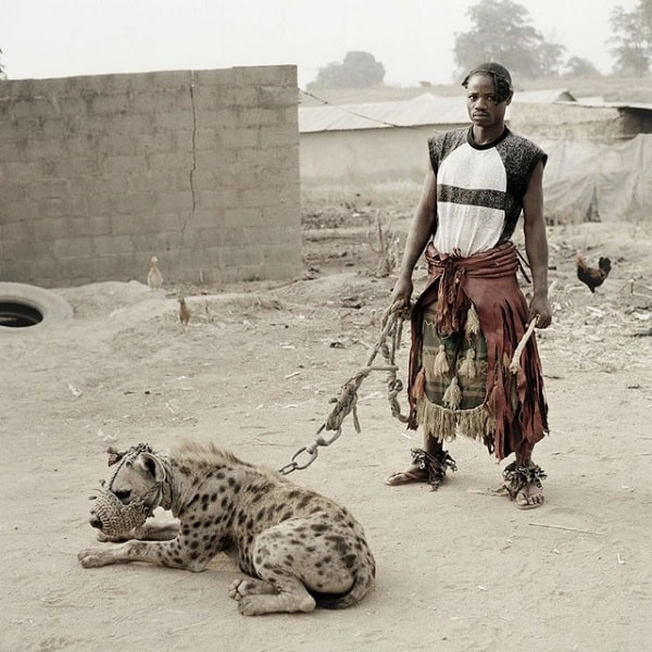 V.A. (LAGOS SHAKE, A TONY ALLEN CHOP UP) / オムニバス / LAGOS SHAKE, A TONY ALLEN CHOP UP