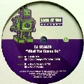 DJ DEALER / WHATCHA GONNA DO?