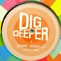 DANNY HOWELLS / FLIGHT HOME