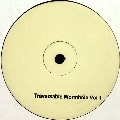 TRAVERSABLE WORMHOLE / TRAVERSABLE WORMHOLE VOL 1