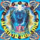 V.A. (Complled by DEV LARGE / D.L aka DJ BOBO JAMES) / デヴラージ DJボボジェームス / HARD TO THE CORE