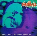 DERANGED / デランジッド / ARCHITECTS OF PERVERSION