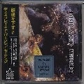 DISPLACED PERSONS / ディスプレイスド・パーソン / モーティヴ