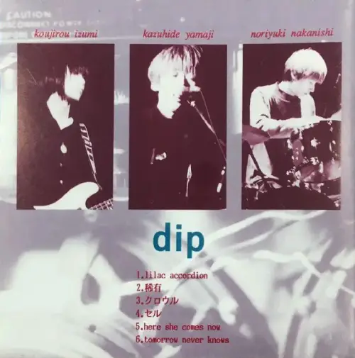 dip / dip