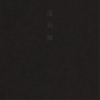 KEIJI HAINO (experimental mixture) / 灰野敬二 / 滲有無