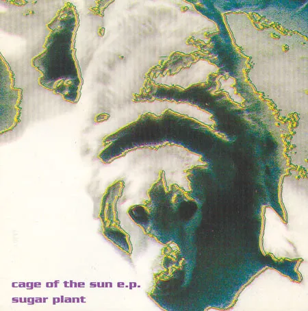 sugar plant / CASE OF THE SUN