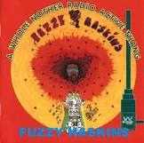 FUZZY HASKINS / ファズィー・ハスキンス / ア・ホール・ナザ-・レイディオ・アクティヴ・サング