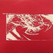 INNERZONE ORCHESTRA / インナーゾーン・オーケストラ / BUG IN THE BASS BIN