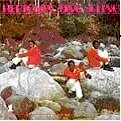 HEPTONES / ヘプトーンズ / TING A LING