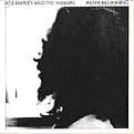 BOB MARLEY (& THE WAILERS) / ボブ･マーリー（･アンド･ザ･ウエイラーズ） / IN THE BEGINNING