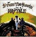 TOOTS & THE MAYTALS / トゥーツ・アンド・ザ・メイタルズ / FROM THE ROOTS