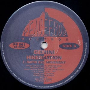 GEMINI (CHICAGO) / HIBERNATION