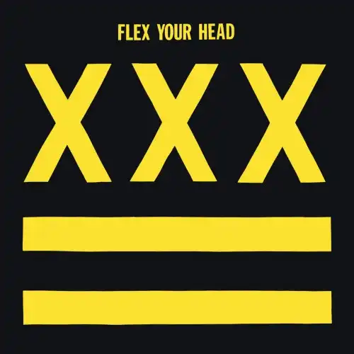 V.A (DISCHORD RECORDS) / FLEX YOUR HEAD (LP)