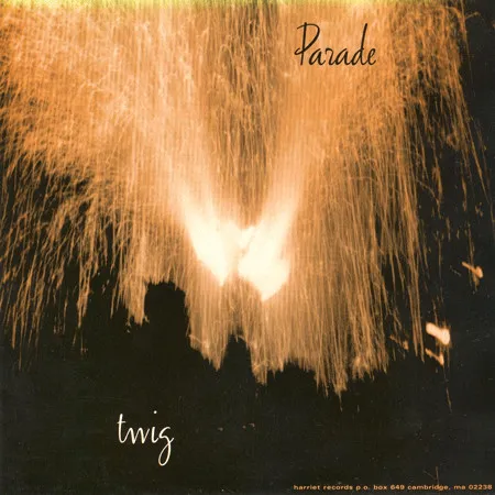 TWIG / PARADE/I NEVER KNOW