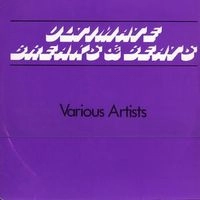 ULTIMATE BREAKS & BEATS VOL.5 / V.A.(ULTIMATE BREAKS & BEATS