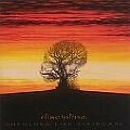DISCIPLINE (PROG: US) / ディシプリン / UNFOLDED LIKE STAIRCASE