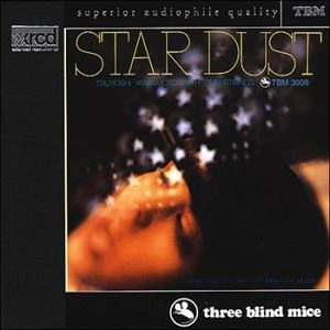 TSUYOSHI YAMAMOTO / 山本剛 / STAR DUST