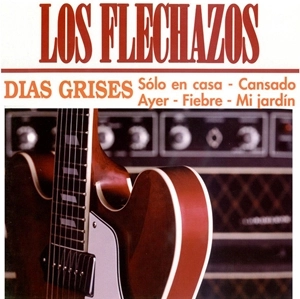 LOS FLECHAZOS / DIAS GRISES (LP)