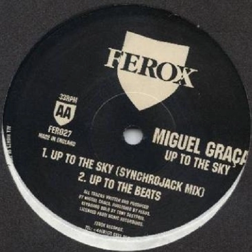 MIGUEL GRACA / UP TO THE SKY