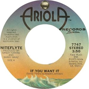 NITEFLYTE / ナイトフライト / IF YOU WANT IT　/I WONDER