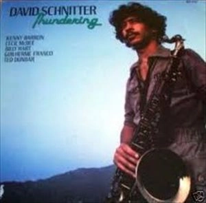 DAVID SCHNITTER / デヴィッド・シュニッター / THUNDERING