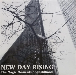 NEW DAY RISING / HOURGLASS / SPLIT (LP)