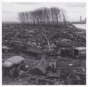 ORGANUM / オルガナム / BIRDS' WINGS WERE GLUED TO THEIR BODIES AND THEIR FEET FROZE TO THE GROUND