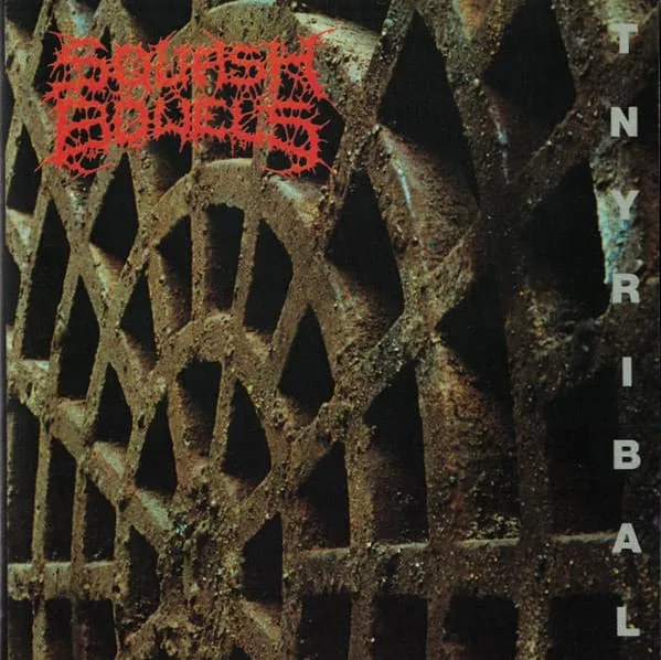 SQUASH BOWELS / スカッシュ・バウアルズ / TNYRIBAL