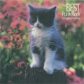 VA (SNUFFY SMILES) / ＢＥＳＴ　ＰＵＮＫ　ＲＯＣＫ　ＩＮ　ＥＮ