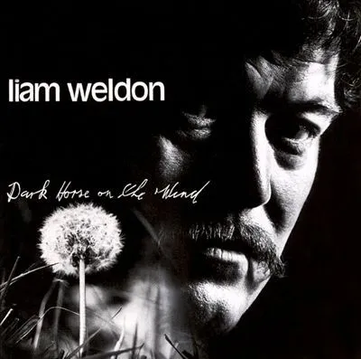 LIAM WELDON / DARK HORSE ON THE WIND