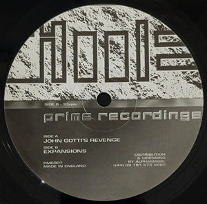 VINYL GROOVER & TRIXXY / JOHN GOTTI'S REVENGE