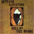 13TH FLOOR ELEVATORS / サーティーンス・フロア・エレヴェーターズ / BULL OF THE WOODS