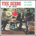 SEEDS / シーズ / BAD PART OF TOWN