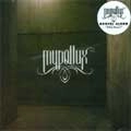MYPOLLUX / ミュポラックス / DEDALES