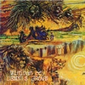 DENNIS BROWN / デニス・ブラウン / VISIONS OF DENNIS BROWN
