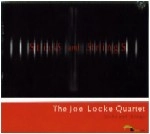 JOE LOCKE / ジョー・ロック / STICKS AND STRINGS