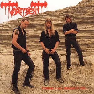 TORMENT / EXPERIENCE A NEW DIMENSION OF FEAR... / EXPERIENCE A NEW DIMENSION OF FEAR... 