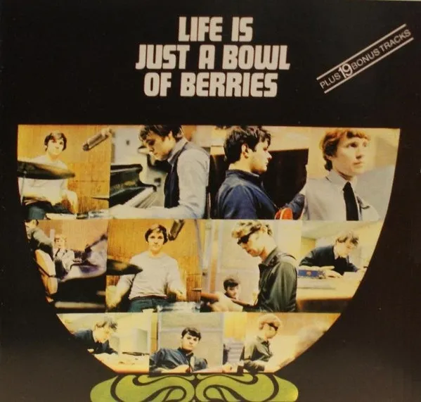 ROCKIN' BERRIES / ロッキン・ベリーズ / A BOWL OF BERRIES OF BER
