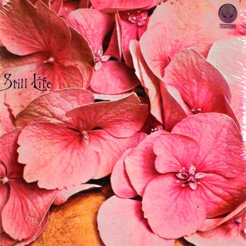 STILL LIFE / スティル・ライフ / STILL LIFE
