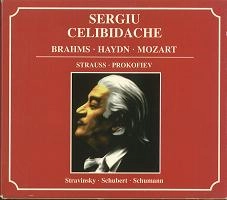 SERGIU CELIBIDACHE / セルジゥ・チェリビダッケ / RAI RECORDINGS11CD