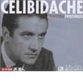 SERGIU CELIBIDACHE / セルジゥ・チェリビダッケ / MAESTRO