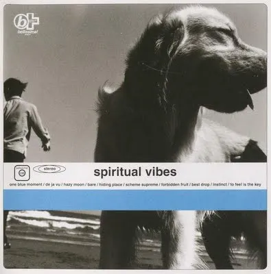 SPIRITUAL VIBES / SPIRITUAL VIBES