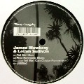 JAMES MOWBRAY & LEIAM SULLIVAN / TELL ME I CAN EP
