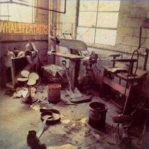 WHALE FEATHERS / WHALEFEATHERS