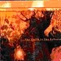 MIKE BROOKS / マイク・ブルックス / EARTH IS THE FULLNESS