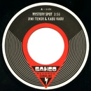 JIMI TENOR & KABU KABU / MYSTERY SPOT + BLACK JANUARY