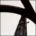 DAKOTA SUITE / ダコタ・スイート / WAITING FOR THE DAWN TO CRAWL THROUGH AND
